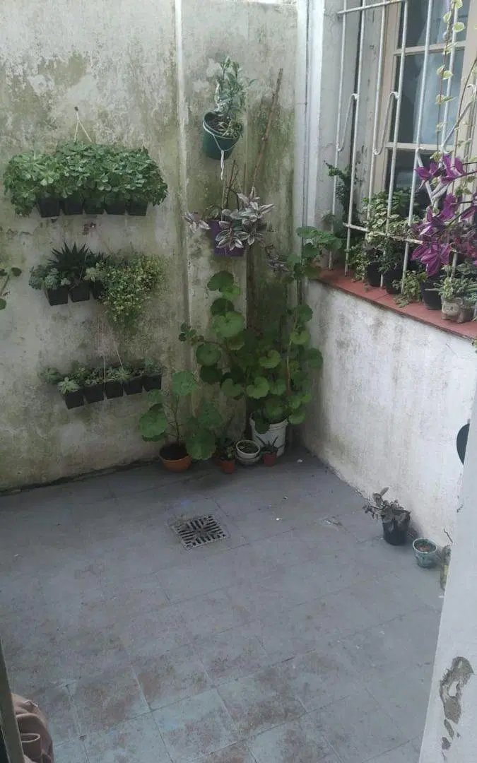 Departamento de 3 Ambientes, PB con patio, Super luminoso. 9 de Julio al 3600 5