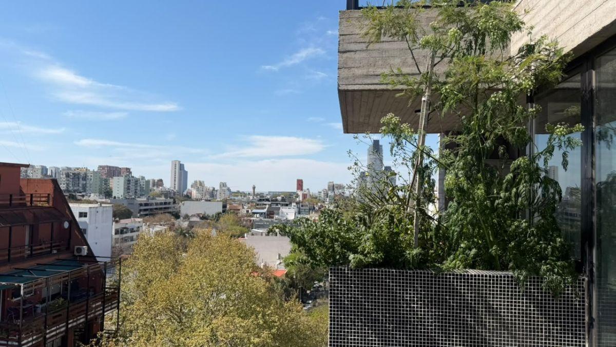 Foto de VENTA Monoambiente al frente con balcón en Núñez, imagen 1