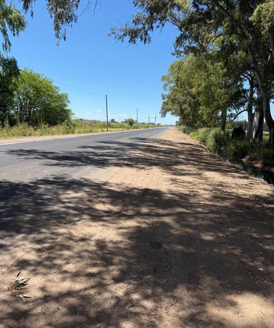 Foto de CAÑUELAS RUTA 3 KM 72 TERRENO, imagen 2