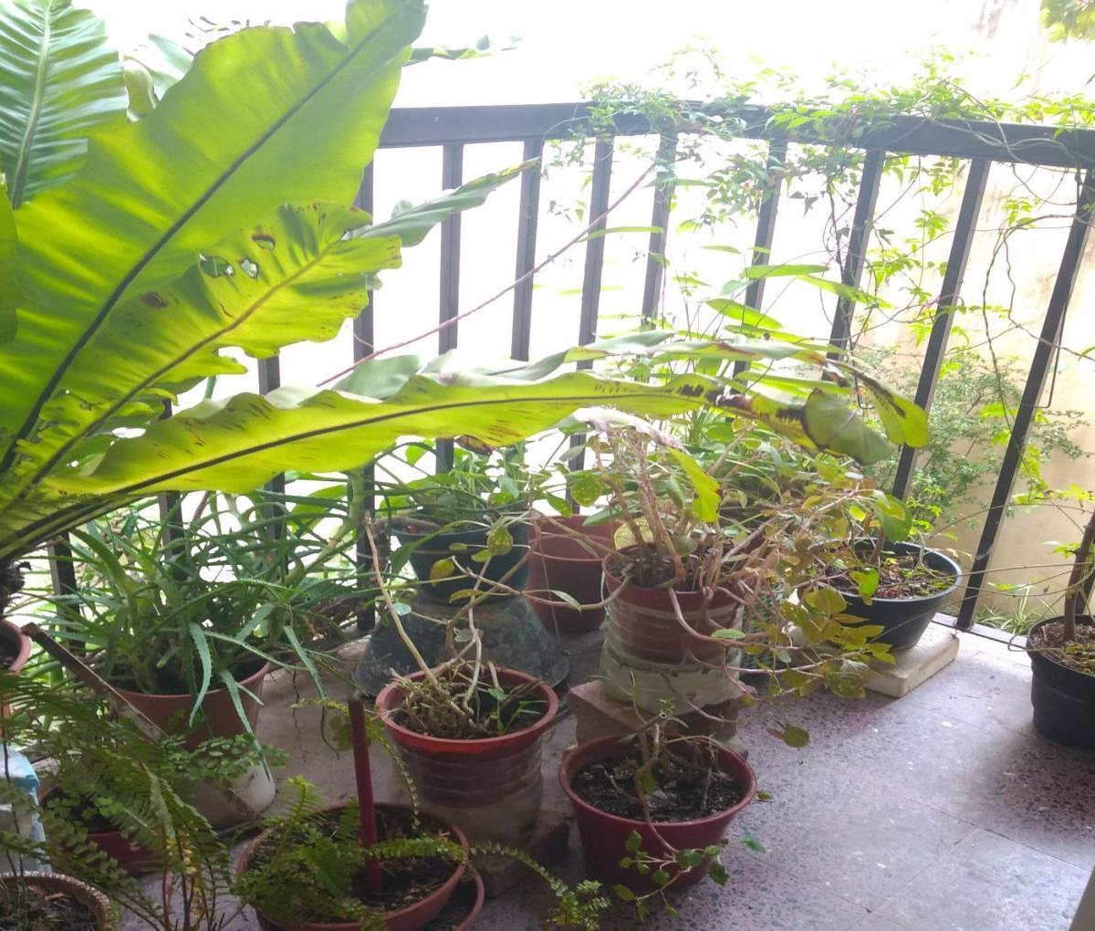 Foto de Departamento de 3 ambientes en Venta en Villa crespo, imagen 4