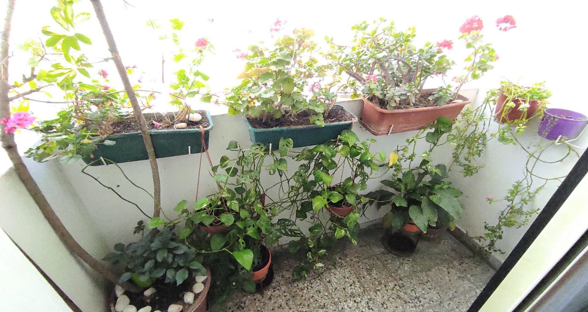 Departamento de 4 ambientes en Venta en Villa crespo