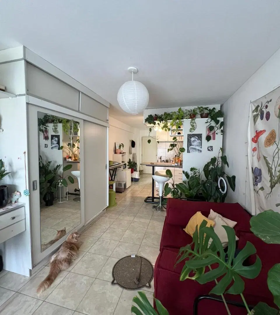 Departamento de 1 ambiente en Alquiler en Chacarita 5