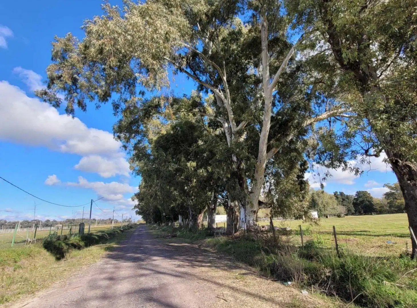 Terreno en venta Barrio Parque Robles II 5