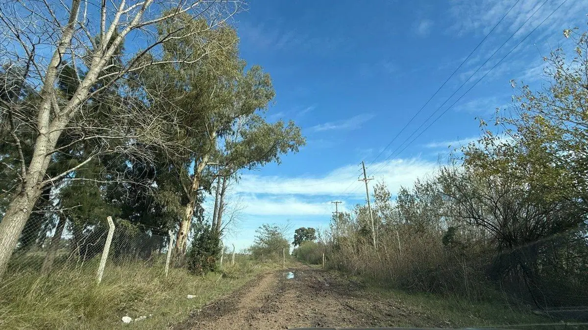 Excelente lote zona de casas quintas San Vicente 6 2