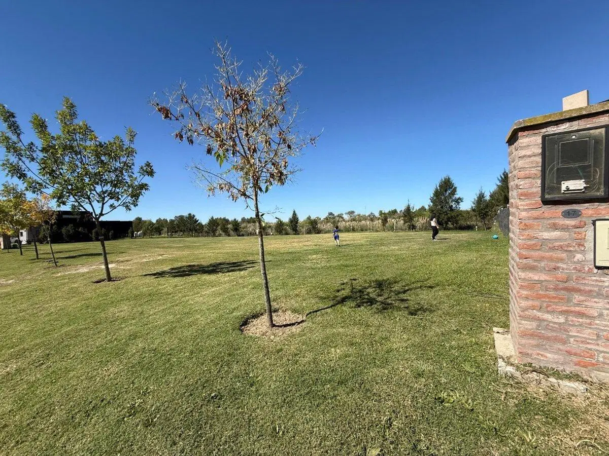 Lote en Venta en El Naudir – Listo para Construir 4