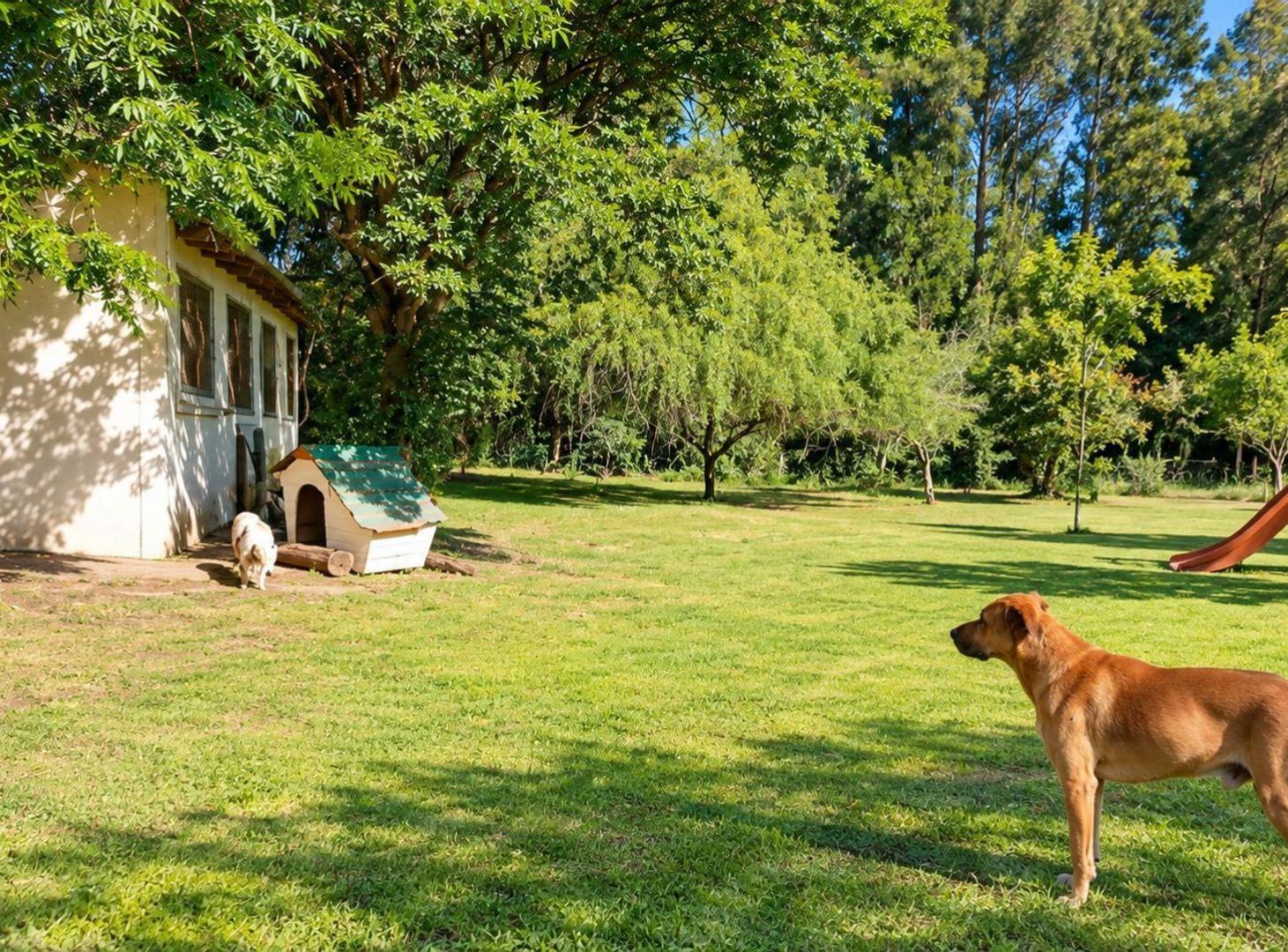 Foto de LOTE CON VIVIENDA, EXCELENTE POTENCIAL EN CAÑUELAS, imagen 2