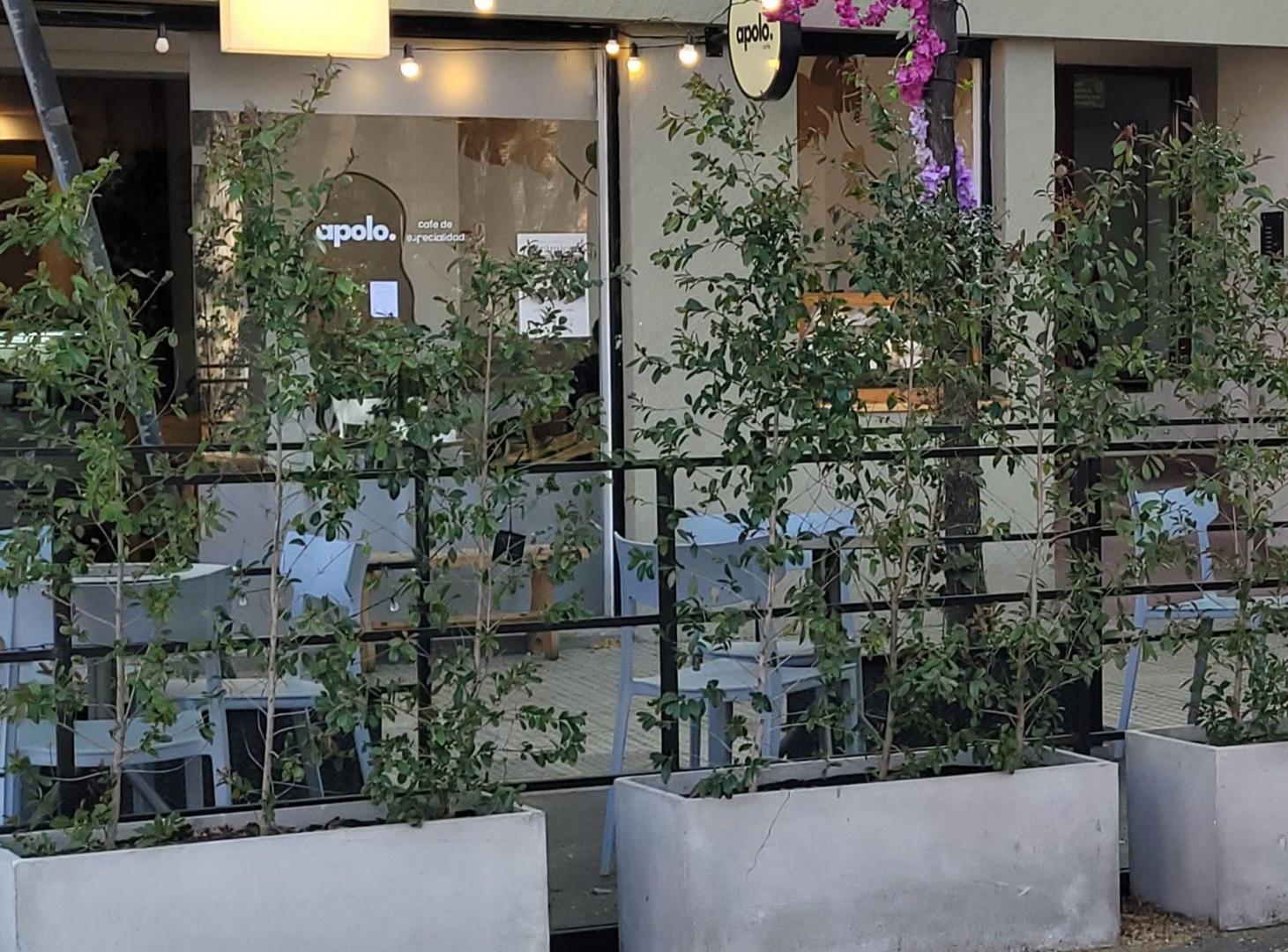 Foto de Local en Alquiler para cafetería.Palermo.Impecable, imagen 4
