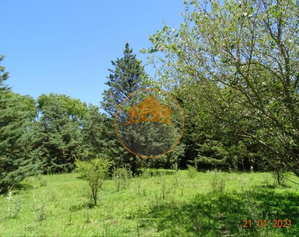 A 50 m Costanera Lago Los Molinos, 2.500 m² con Servicios y Escritura, Potrero de Garay, Cordoba 3