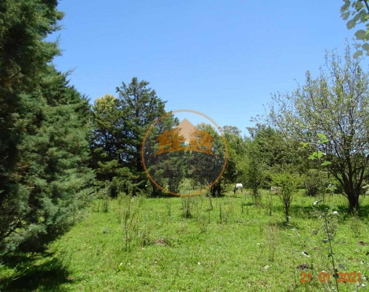 A 50 m Costanera Lago Los Molinos, 2.500 m² con Servicios y Escritura, Potrero de Garay, Cordoba 2