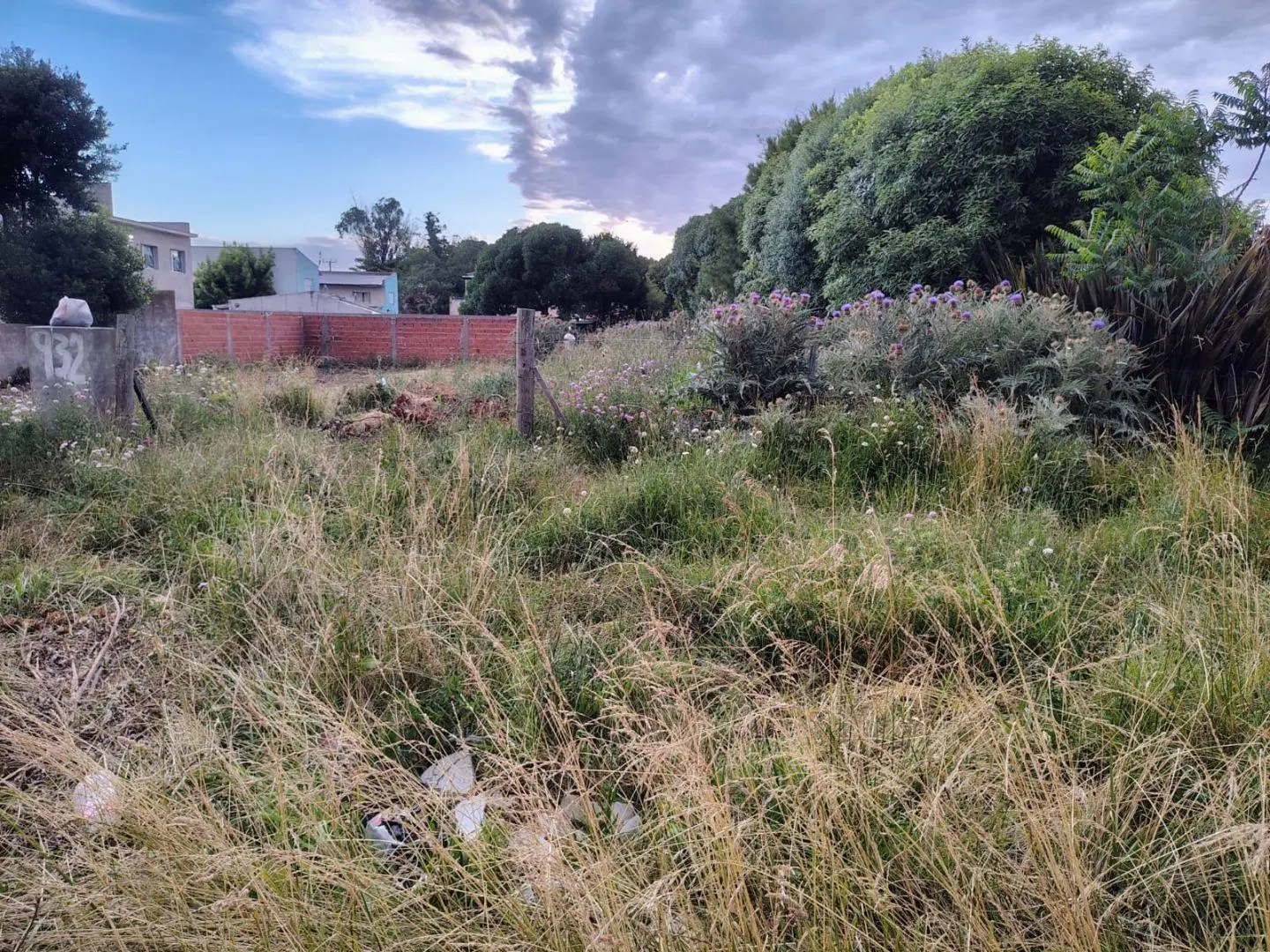 Lote en Venta en Miramar Cerca del Centro y del Mar 4