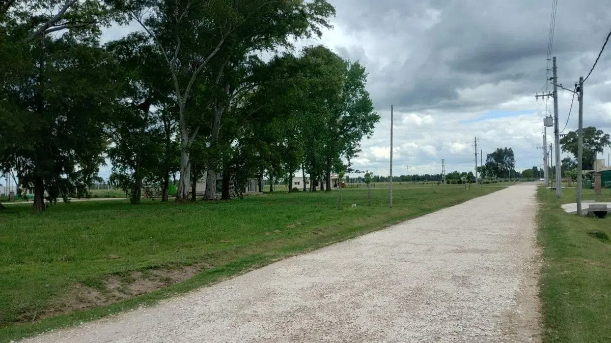 LOTE EN FINCAS DE SAN VICENTE JOVEN 4