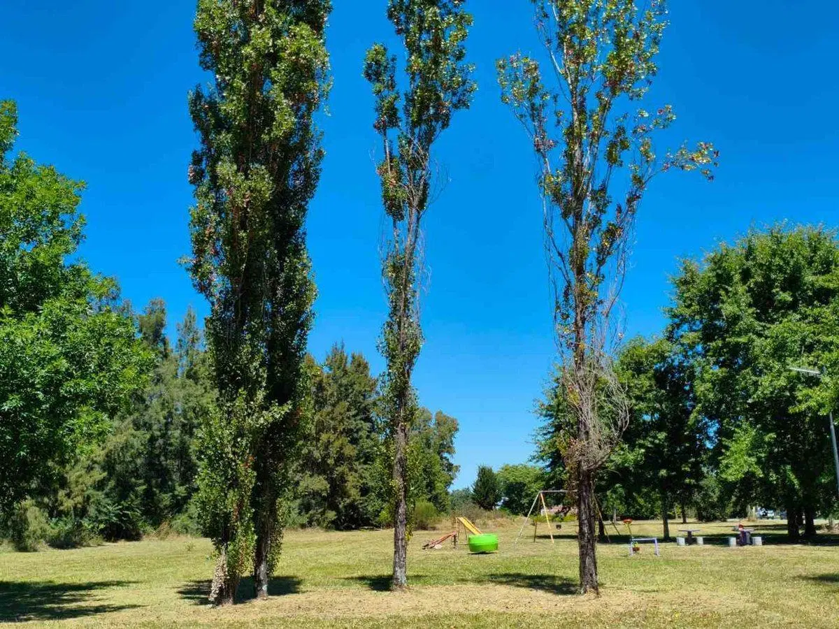 Lote Barrio Santa Brigida Los Cardales 5