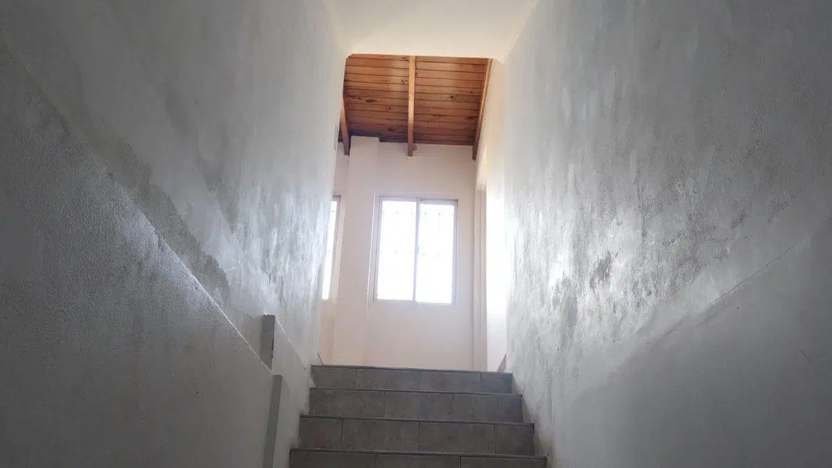 ALQUILER DEPARTAMENTO 3 AMBIENTES EN SAN VICENTE 5