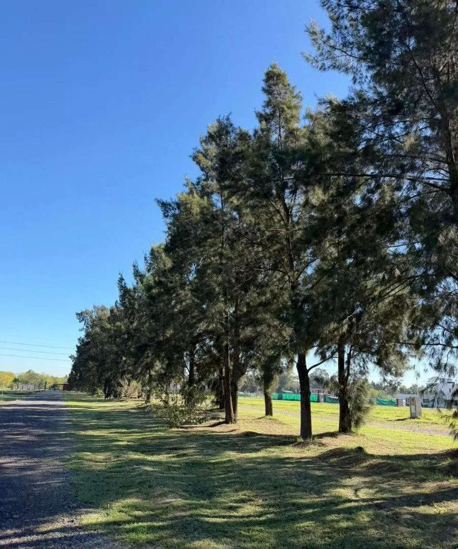 Venta Lote en Barrio Cerrado San Fermin 4