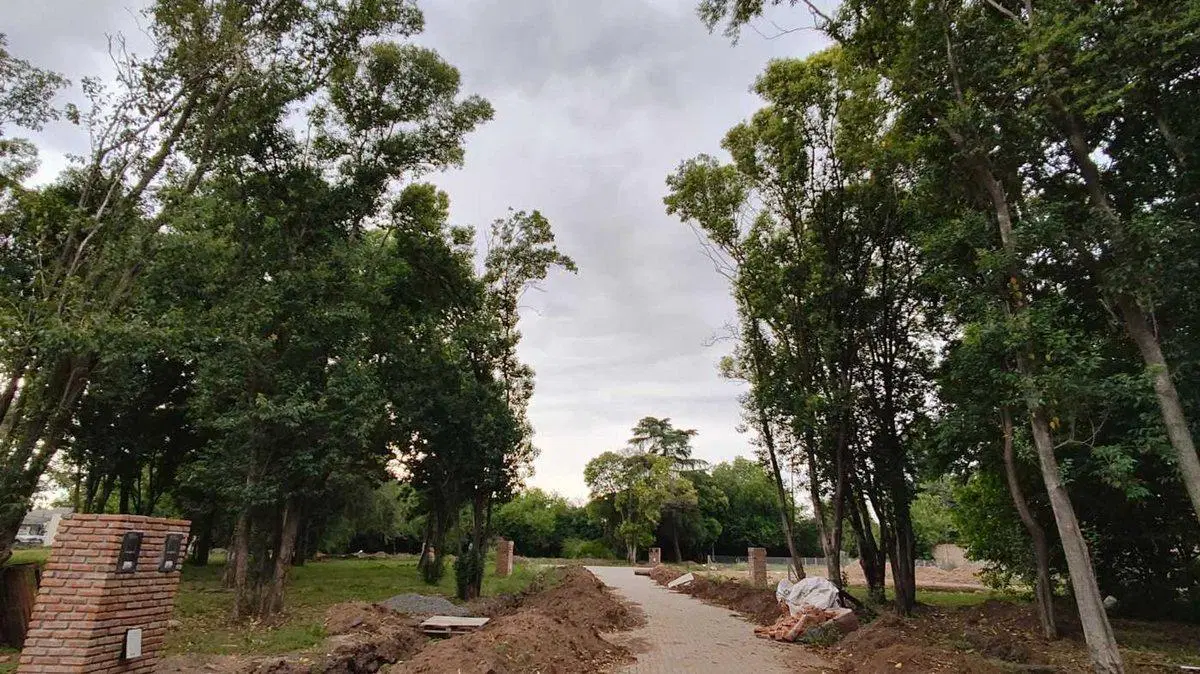 LOTE EN VENTA EN PABLO NOGUEZ  ALTOS DE SAN CARLOS 2