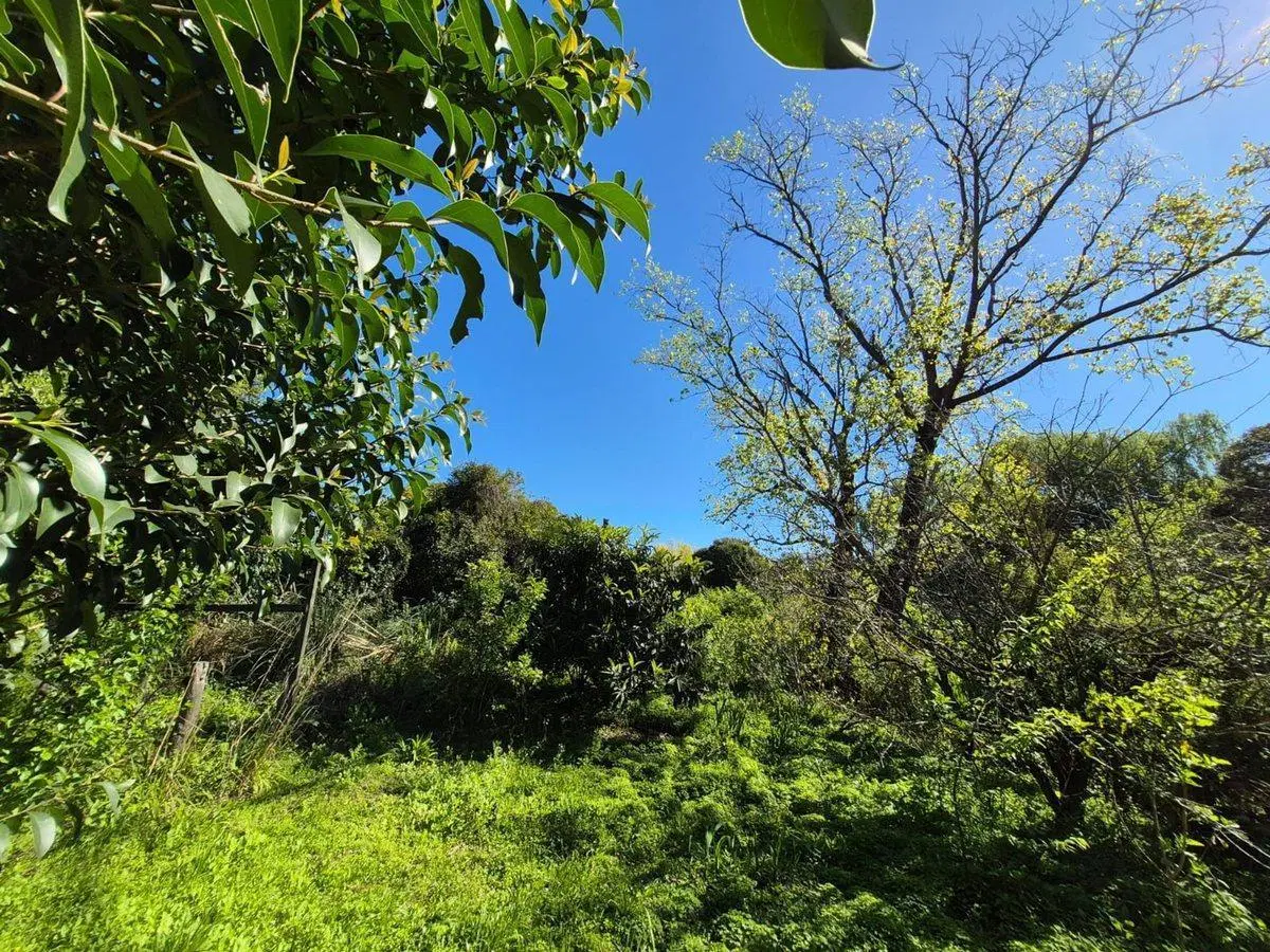 Lote excelente ubicacion en costa Sarandi 10000m2 3