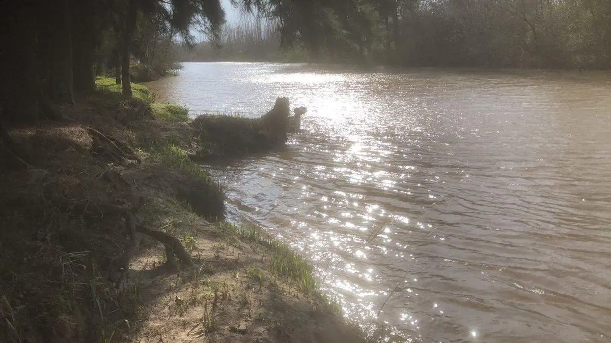 LOTE 8.6 HECTAREAS ESCOBAR BUENOS AIRES 2