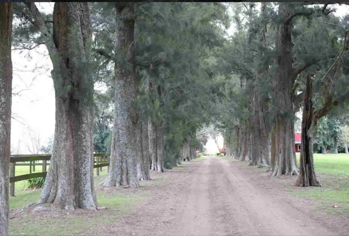 Venta lote en Haras El Malacate Campo y Polo 3