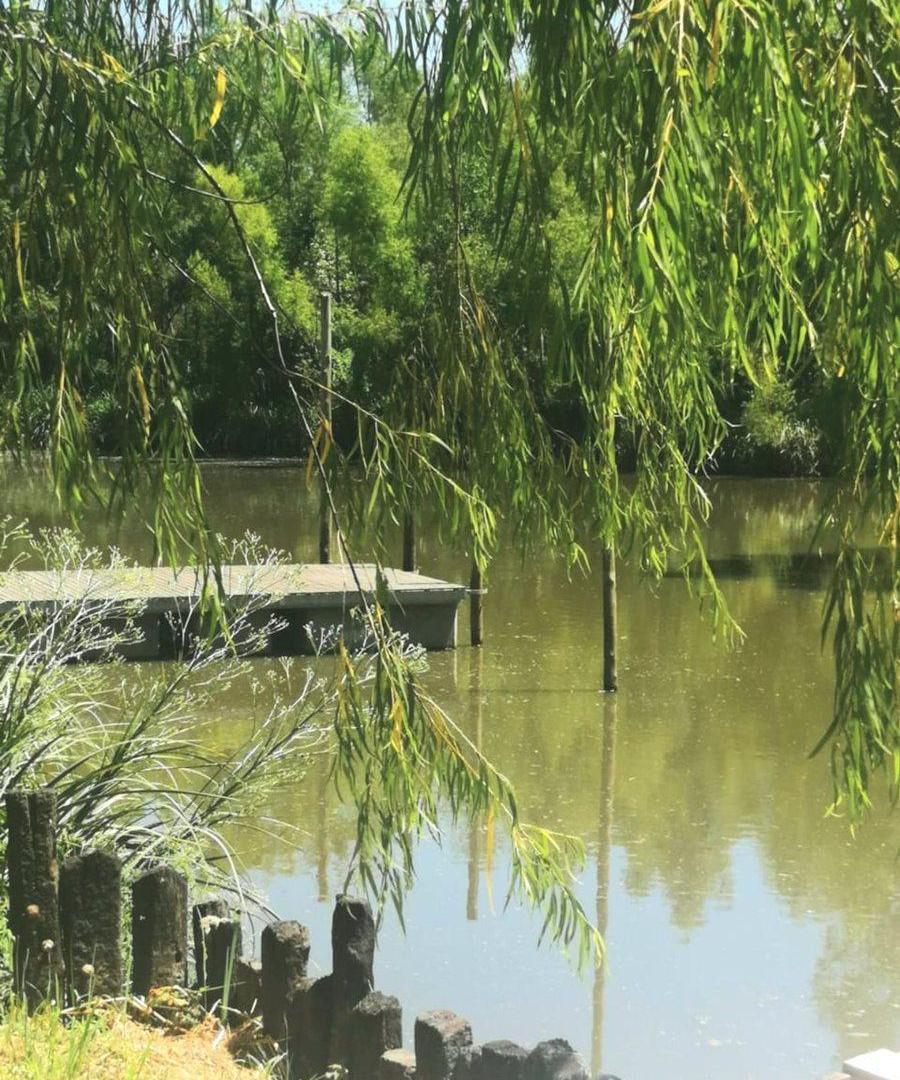 Foto de Casa flotante en barrio cerrado nautico Maschwitz, imagen 4