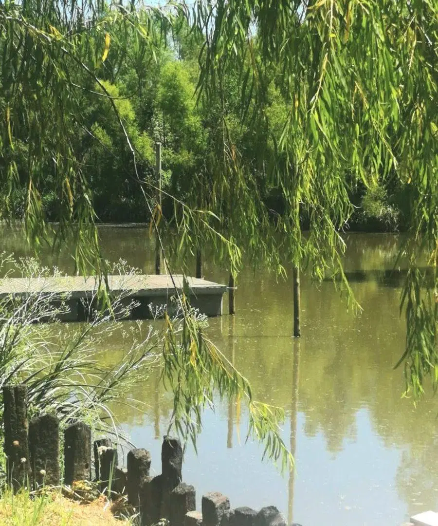Casa flotante en barrio cerrado nautico Maschwitz 4