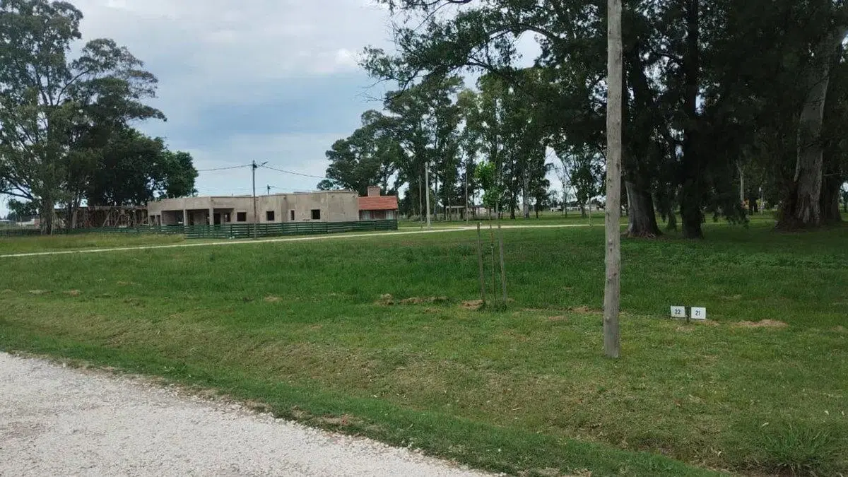LOTE EN FINCAS DE SAN VICENTE JOVEN 3