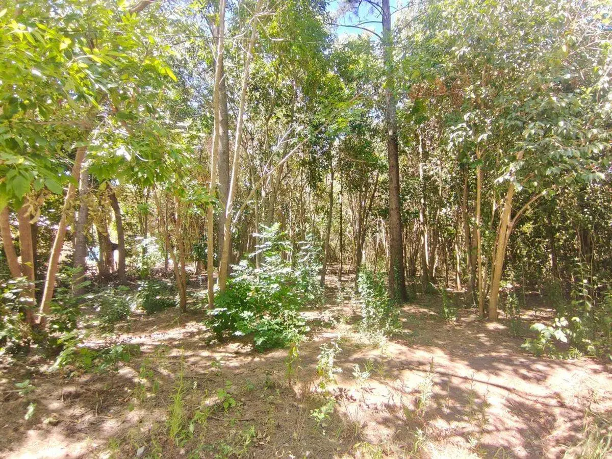 Lote Barrio Santa Brigida Los Cardales 4