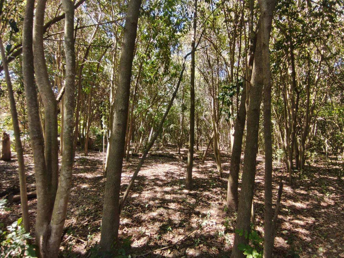 Foto de Lote Barrio Santa Brigida Los Cardales, imagen 2
