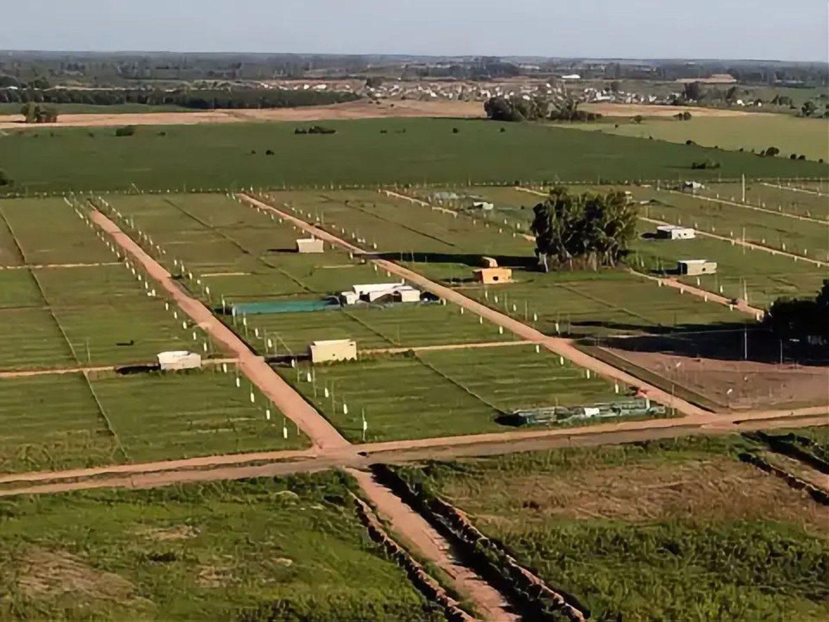 Venta lote 300m2 Reserva del Oeste Ruta 6