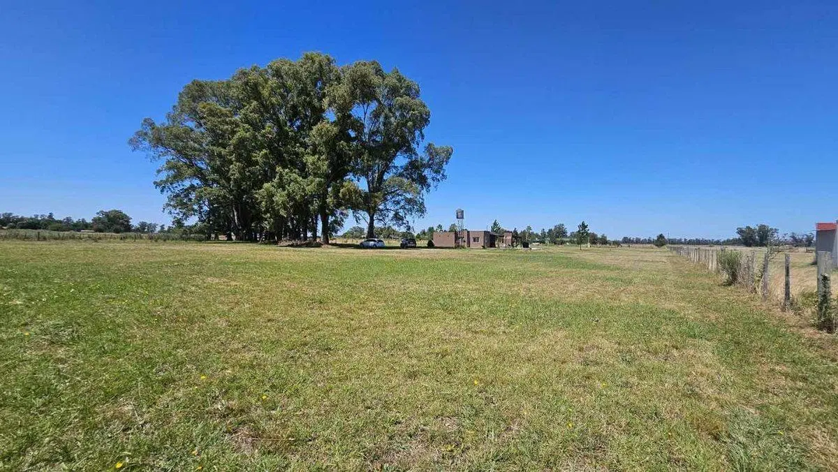QUINTA EN VENTA CON PILETA EN MERCEDES 3