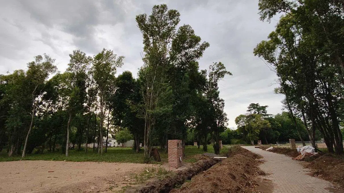 LOTE EN VENTA EN PABLO NOGUEZ  ALTOS DE SAN CARLOS 3