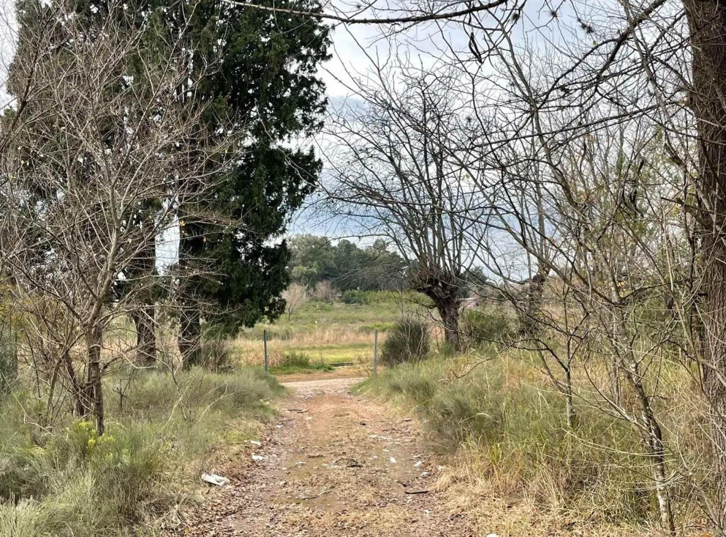 VENTA LOTE CAMPO VILLA ROSA PILAR OPORTUNIDAD 4 HA 3