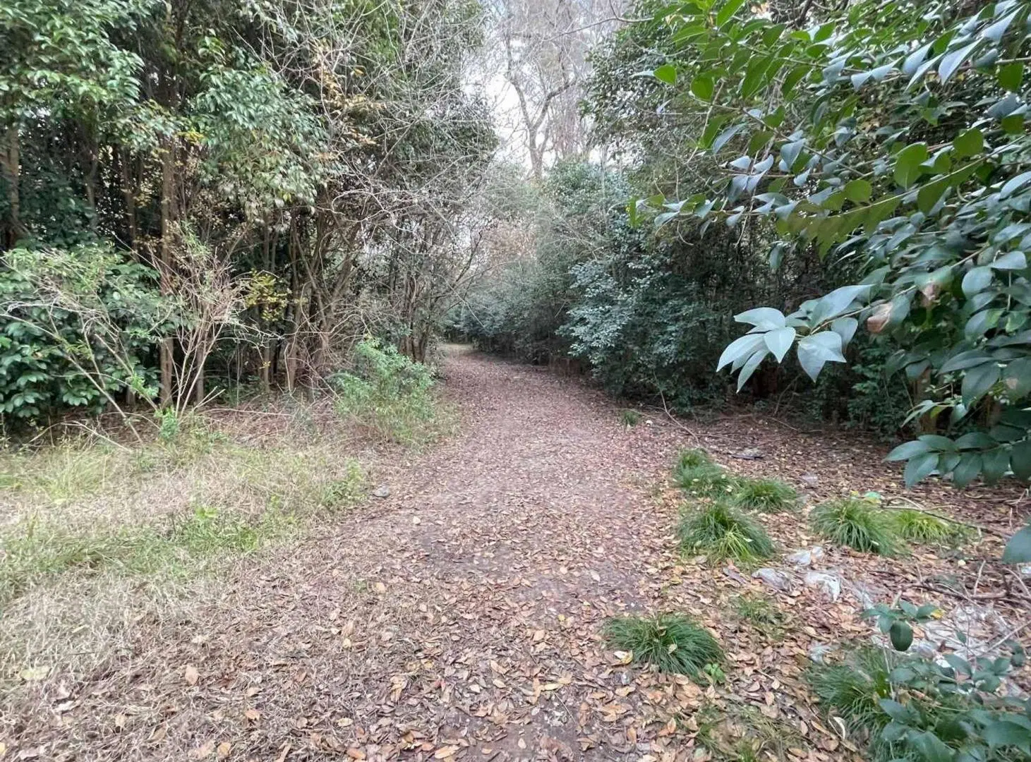 VENTA LOTE CAMPO VILLA ROSA PILAR OPORTUNIDAD 4 HA 8