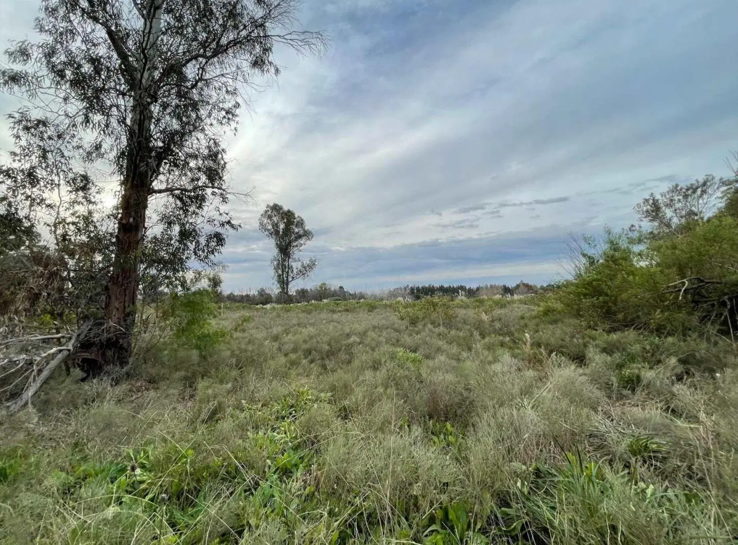 VENTA LOTE CAMPO VILLA ROSA PILAR OPORTUNIDAD 4 HA 4