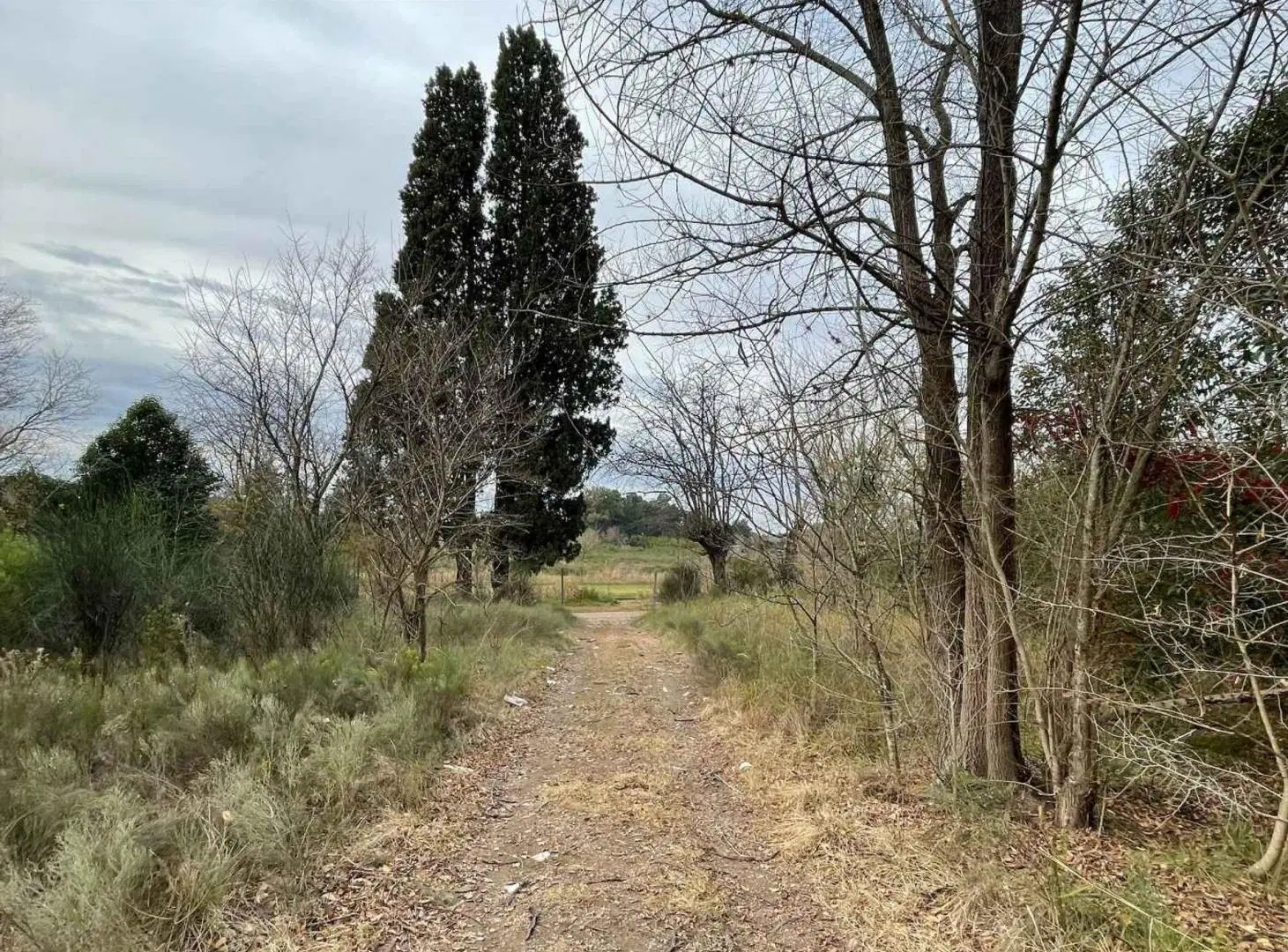 VENTA LOTE CAMPO VILLA ROSA PILAR OPORTUNIDAD 4 HA 5