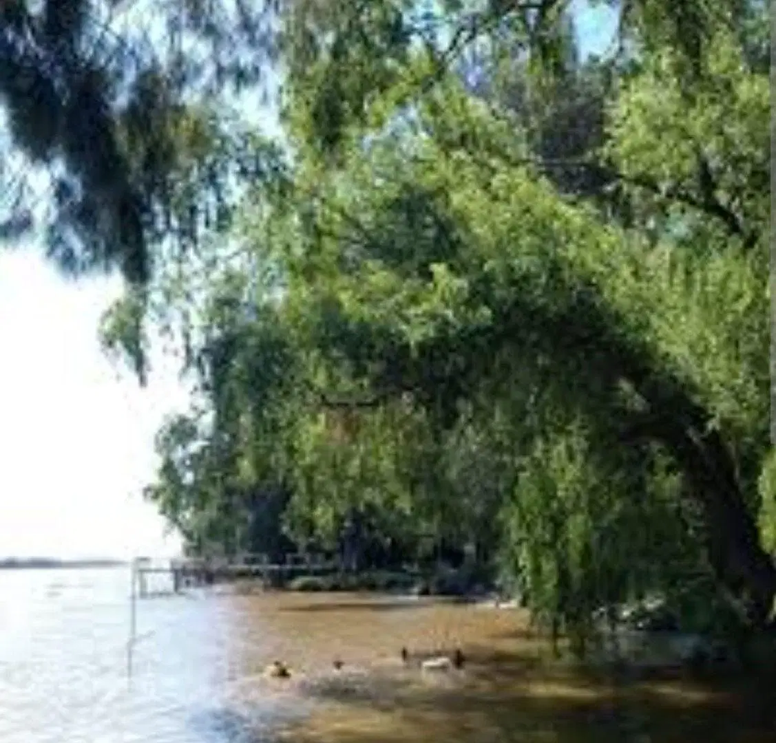 VENTA LOTE FRENTE AL AGUA EN MASCHWITZ ESCOBAR 3