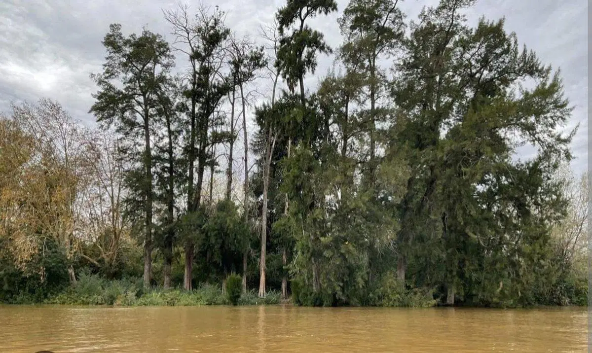 VENTA LOTE FRENTE AL AGUA EN MASCHWITZ ESCOBAR 4