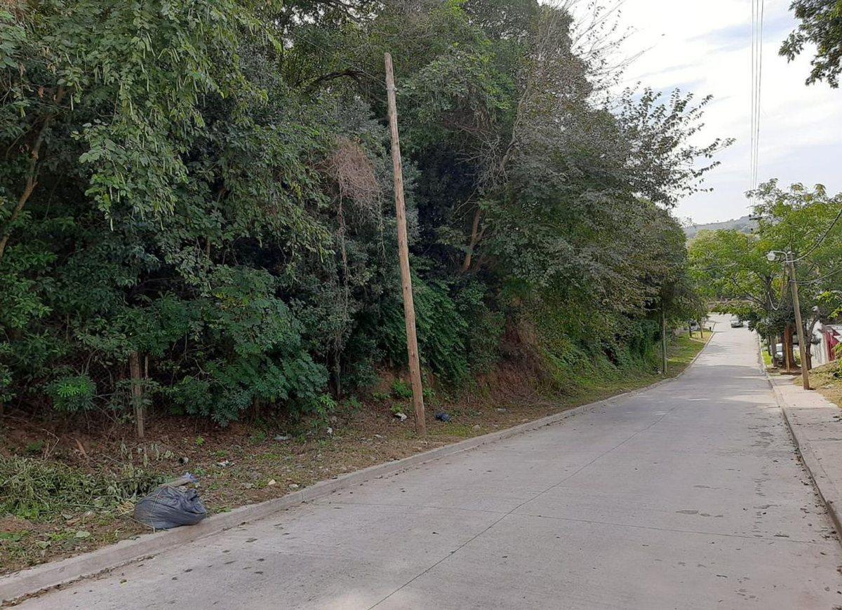 Foto de Lote para desarrollo inmobiliario Zarate permuta, imagen 3