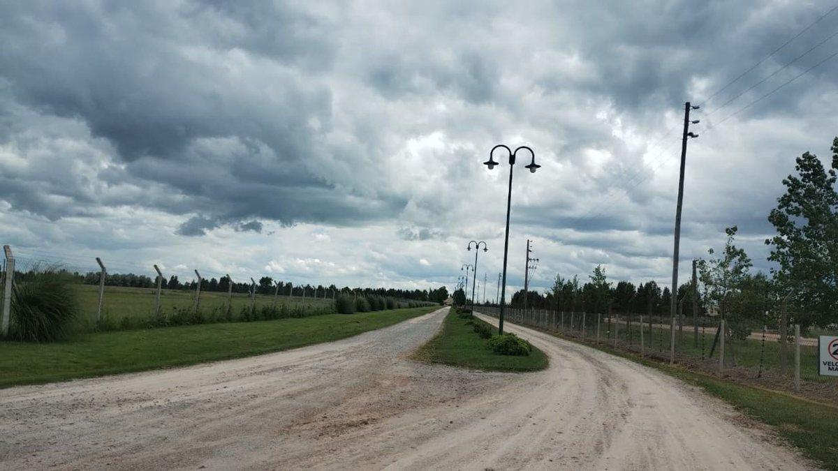 Foto de LOTE EN FINCAS DE SAN VICENTE JOVEN, imagen 4