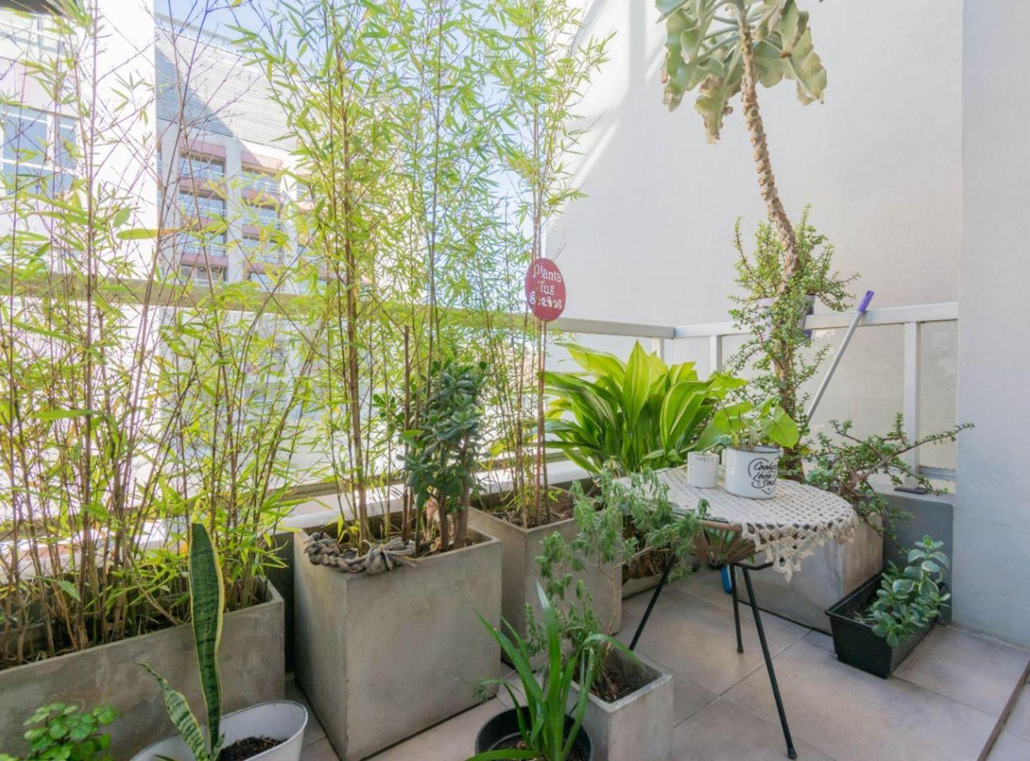 Foto de VENTA DEPARTAMENTO 2 AMBIENTES CON TERRAZA PALERMO, imagen 4