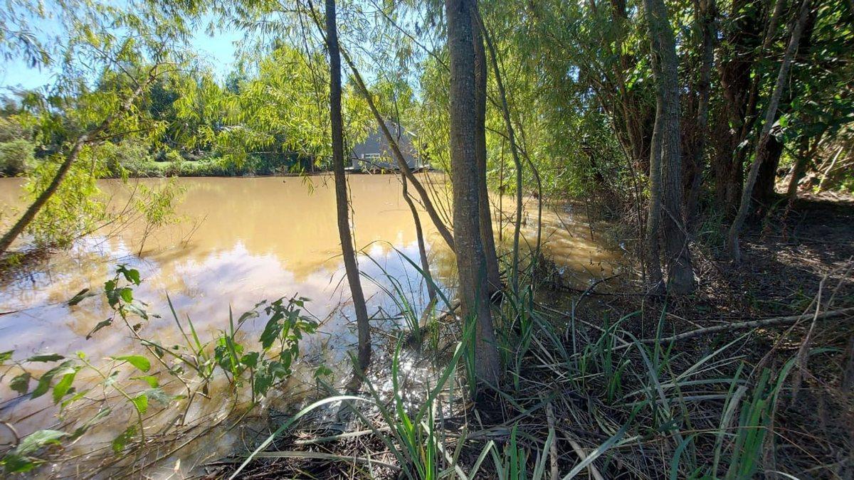 Foto de VENTA LOTE FRENTE AL AGUA EN MASCHWITZ ESCOBAR, imagen 4