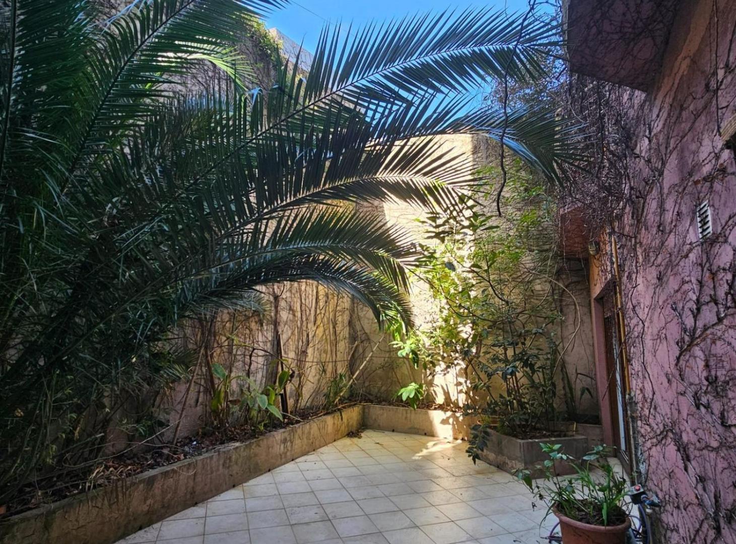 Foto de Casa de 5 amb en venta en P Patricios. 313m Patio, imagen 5
