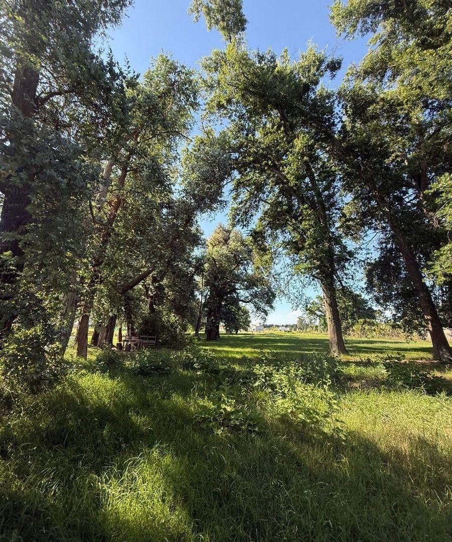 Foto de Venta terreno arbolado en El Espinillo Golf Lujan, imagen 2