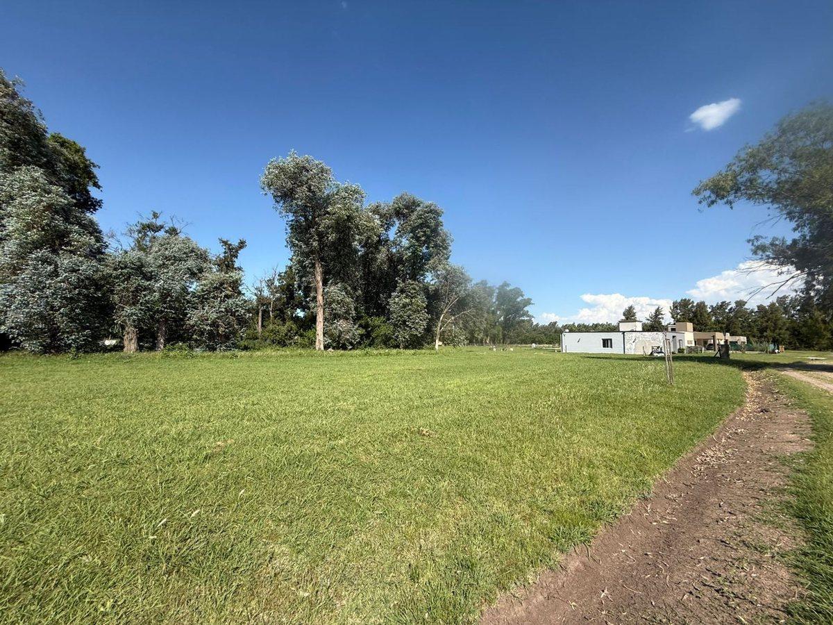 Foto de Venta terreno arbolado en El Espinillo Golf Lujan, imagen 3