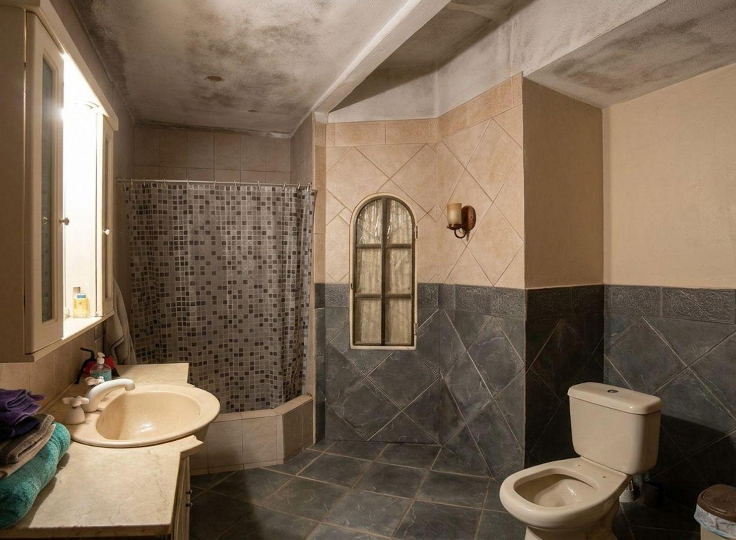 Foto de Casa en venta en centro de Pontevedra lote 1100m2, imagen 5