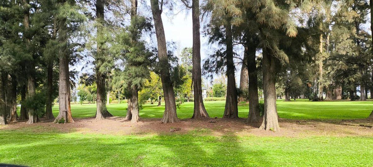Foto de LOTE EN BARRIO LOS TRES PINOS 1340 m2 PERMUTA, imagen 3