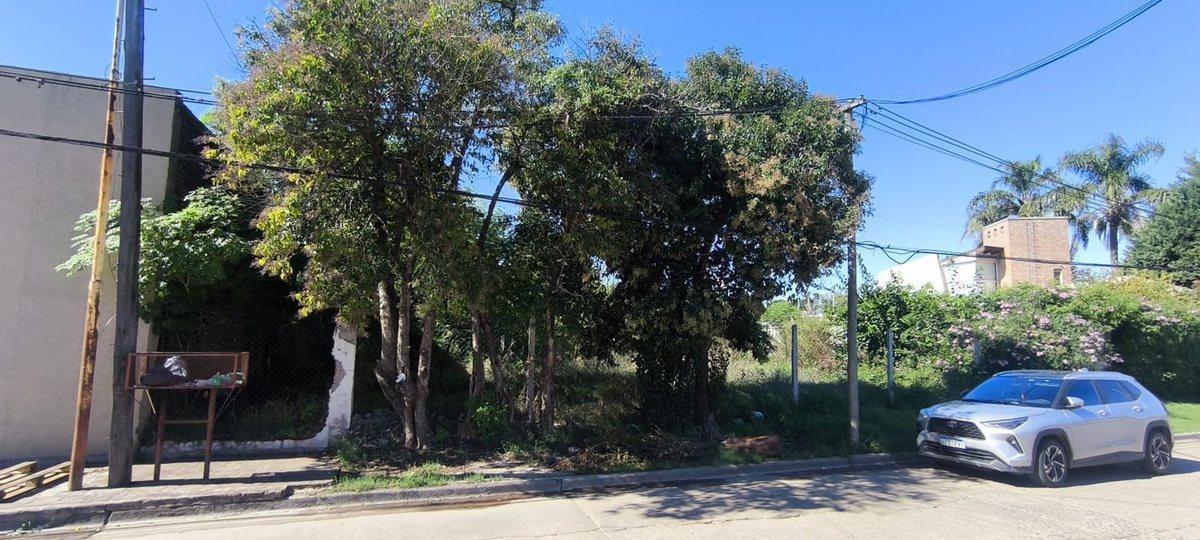 Foto de TERRENO CENTRO DE GRAL.RODRIGUEZ CALLE GUILLERMON, imagen 2