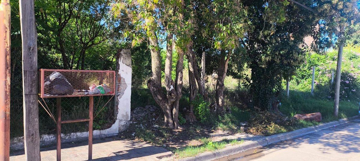 Foto de TERRENO CENTRO DE GRAL.RODRIGUEZ CALLE GUILLERMON, imagen 1
