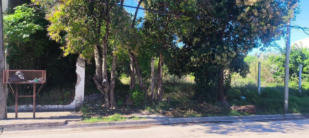 Foto de TERRENO CENTRO DE GRAL.RODRIGUEZ CALLE GUILLERMON, imagen 4