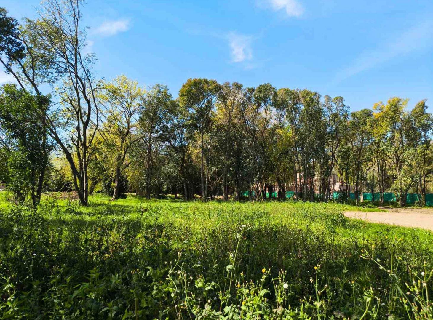 Foto de LOTE EN VENTA PABLO NOGUES ALTOS DE SAN CARLOS, imagen 4