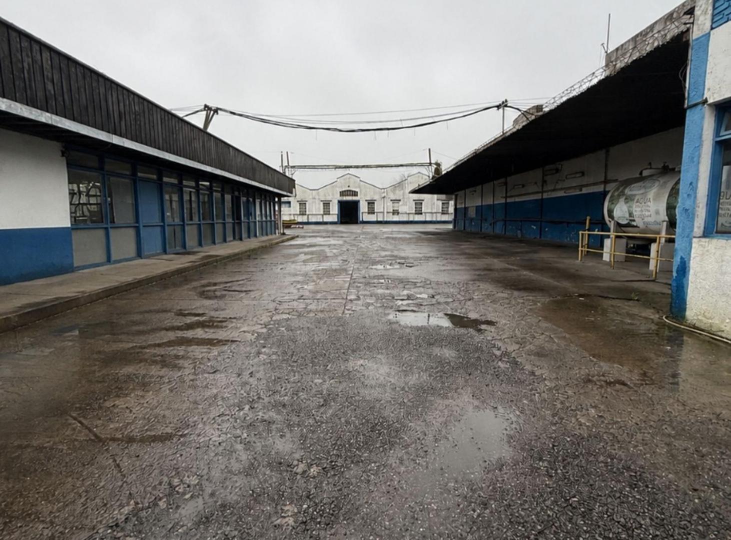 Foto de PREDIO DEPOSITO INDUSTRIAL EN ALQUILER EN LA PLATA, imagen 3
